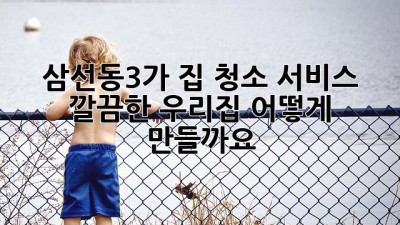 삼선동3가 집 청소 서비스: 깔끔한 우리집, 어떻게 만들까요?